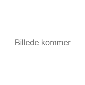 Sko